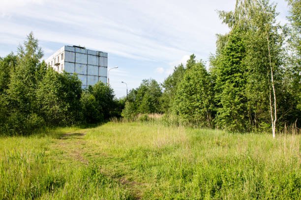 An overgrown vacant lot with a footpath, trees, and a building beyond